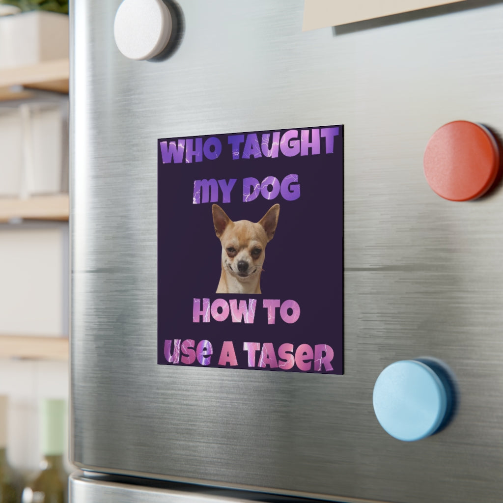 Who Taught My Dog How to Use a Taser Magnet