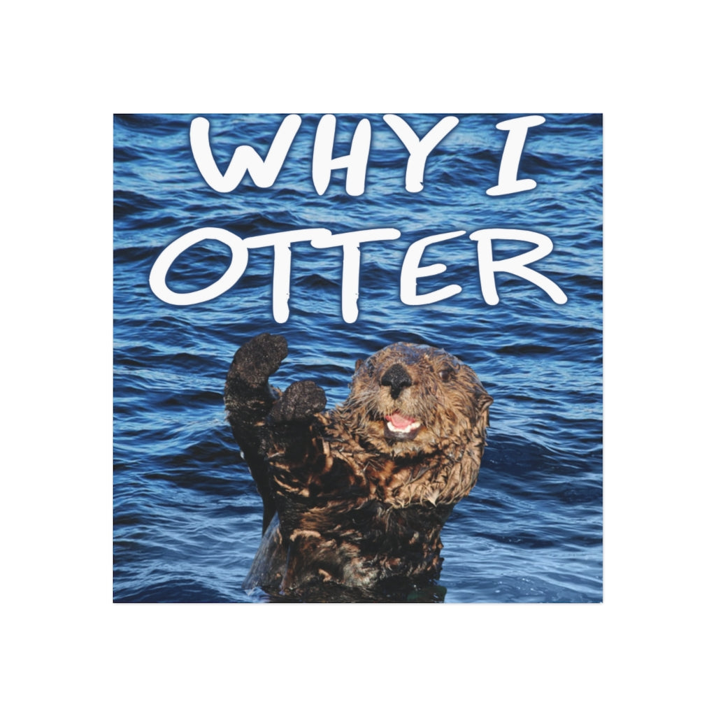 Why I Otter Magnet