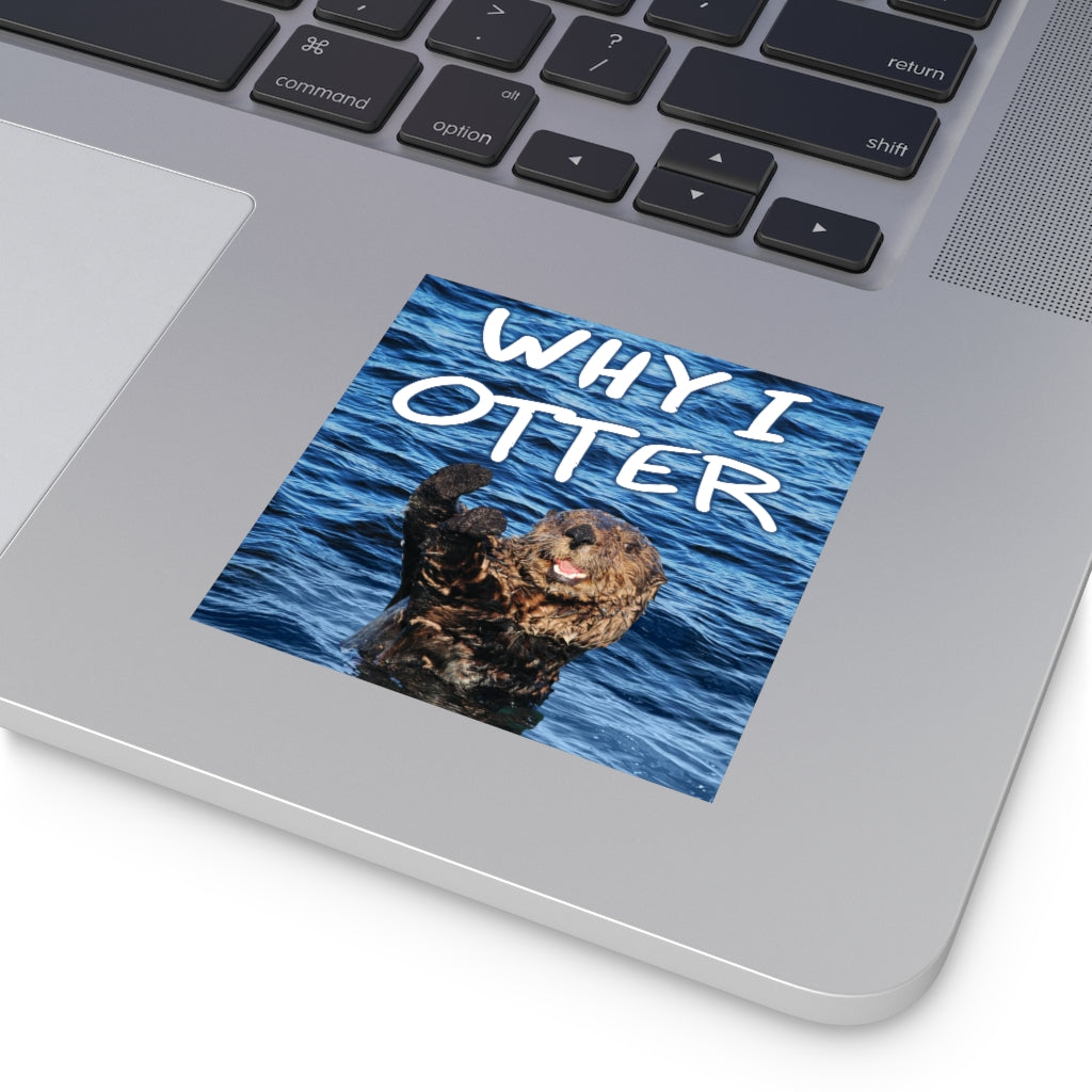 Why I Otter Square