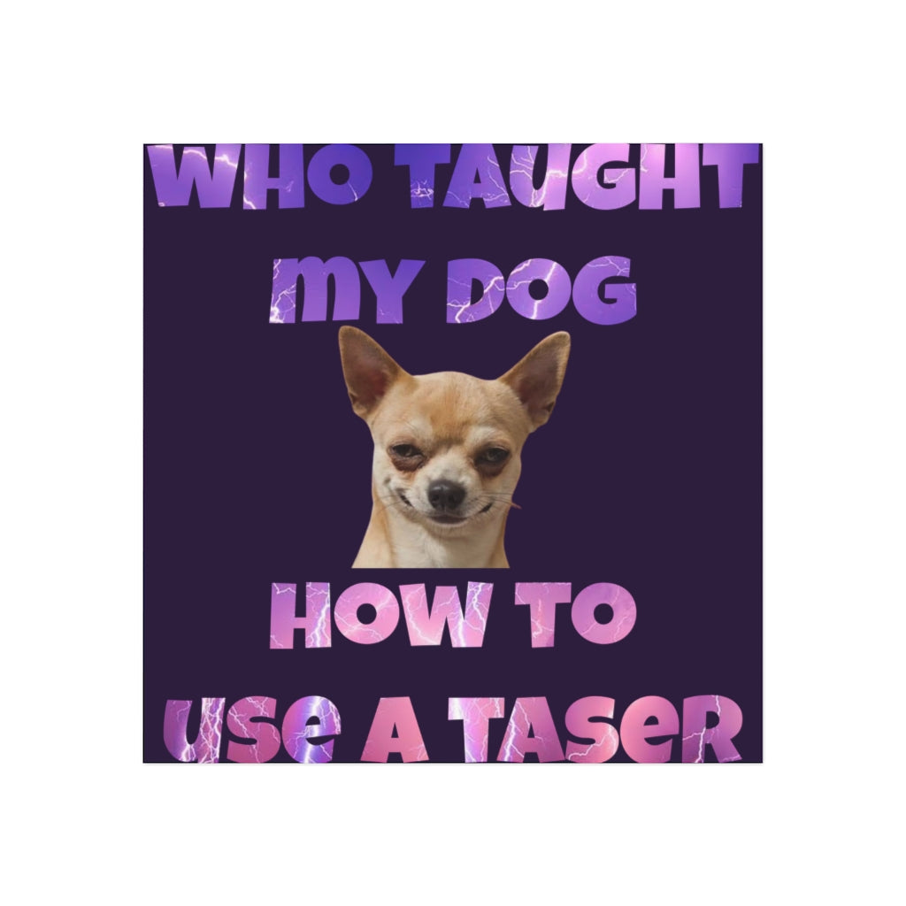 Who Taught My Dog How to Use a Taser Magnet