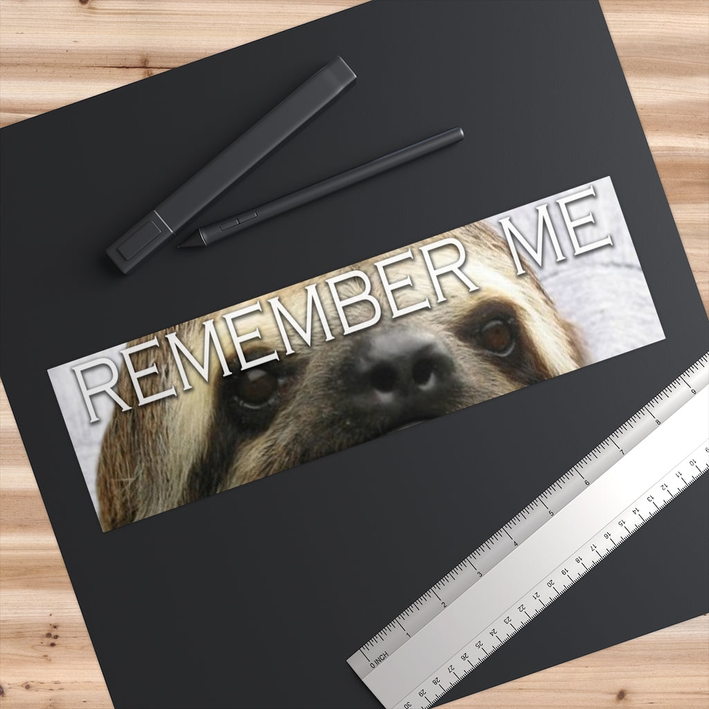 Remember Me Sloth