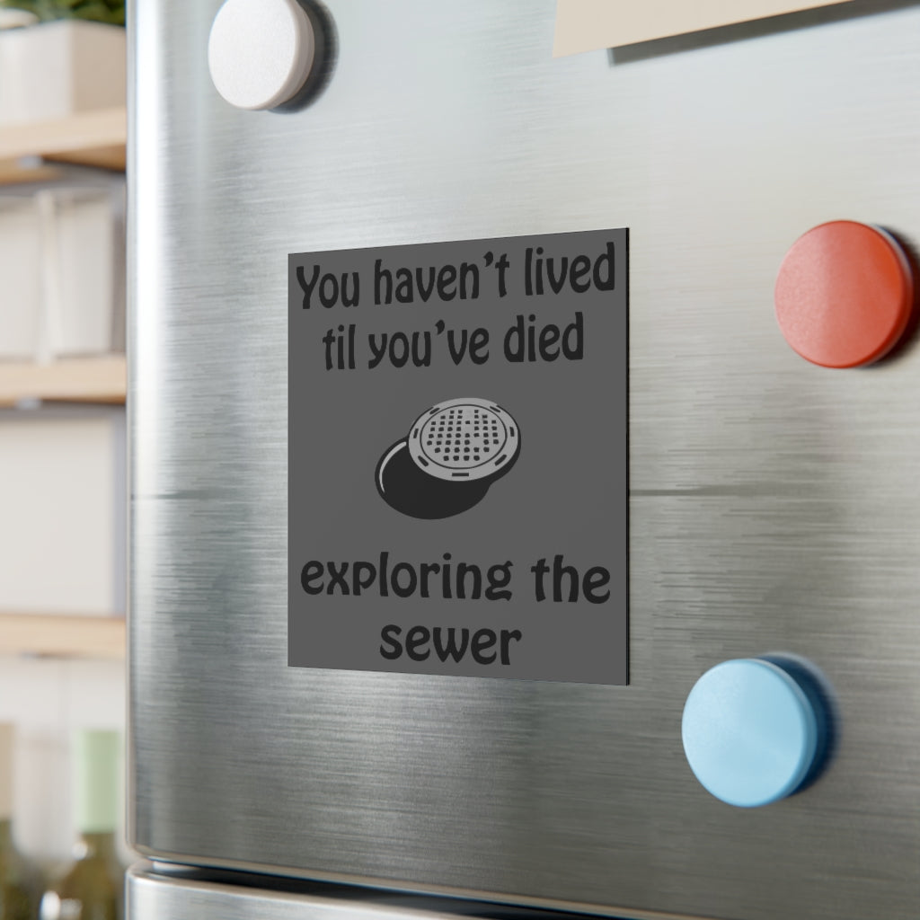 You Haven't Lived Since You've Died Exploring the Sewer Magnet