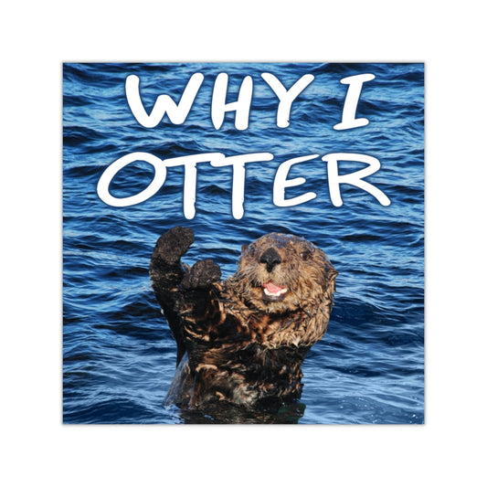 Why I Otter Square