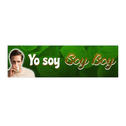 Yo soy Soy Boy