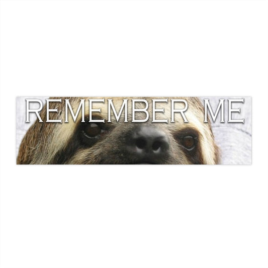 Remember Me Sloth