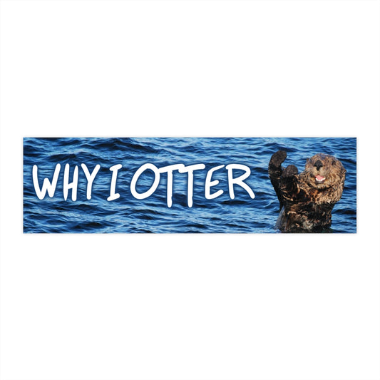 Why I Otter