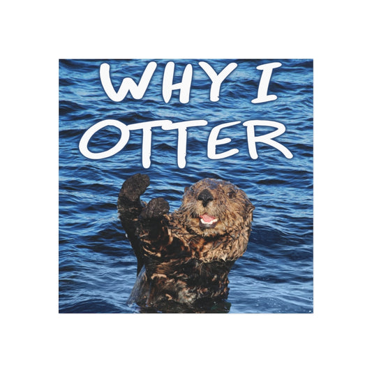 Why I Otter Magnet