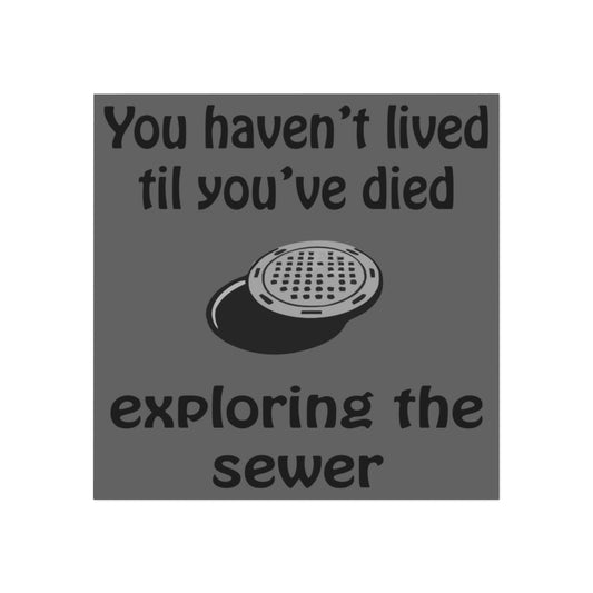 You Haven't Lived Since You've Died Exploring the Sewer Magnet