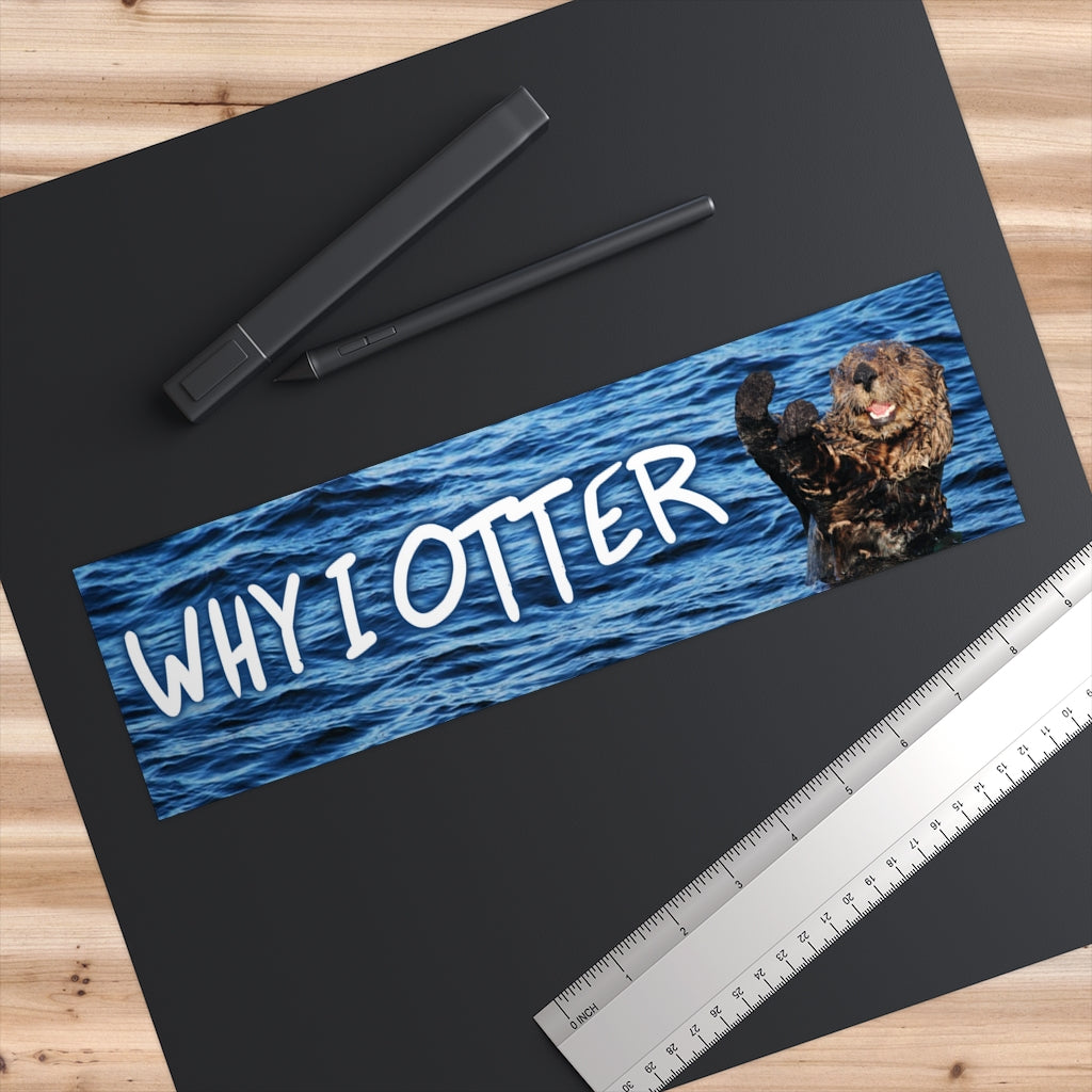 Why I Otter