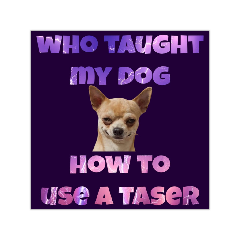 Who Taught My Dog How to Use a Taser Square